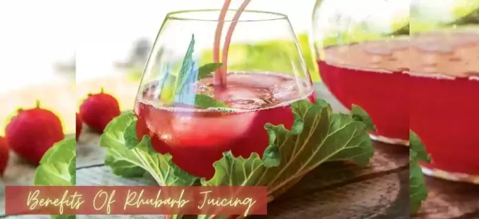 rhubarb juicing