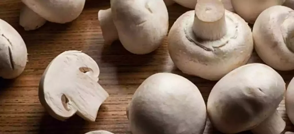 How long do mushrooms last