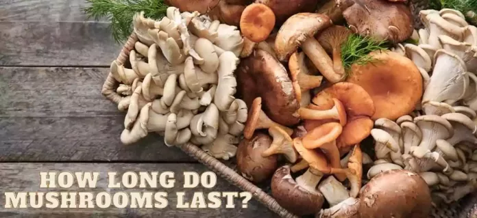 How long do mushrooms last